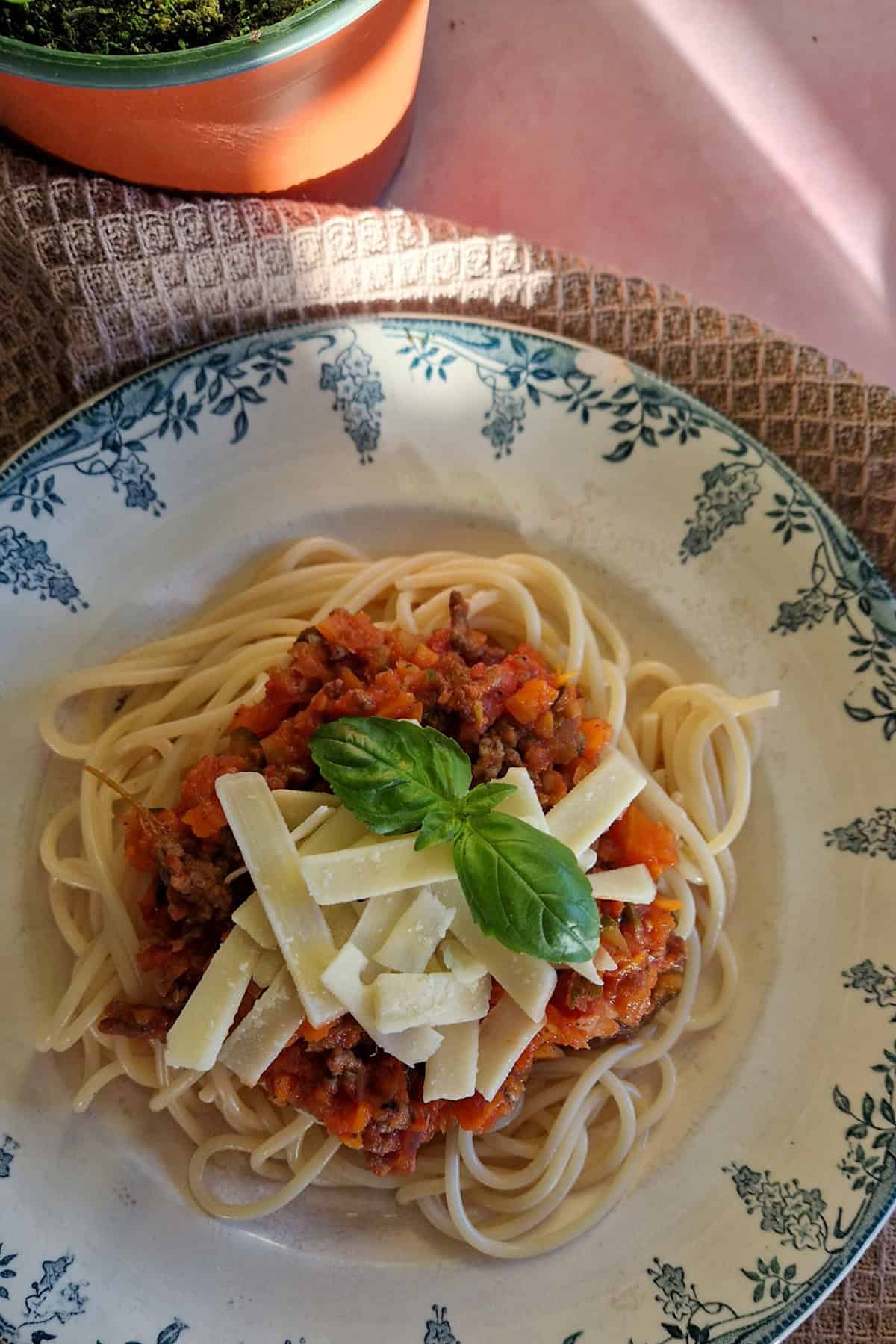 Een bordje pasta met gehaktsaus waar een zonnestraal op schijnt.