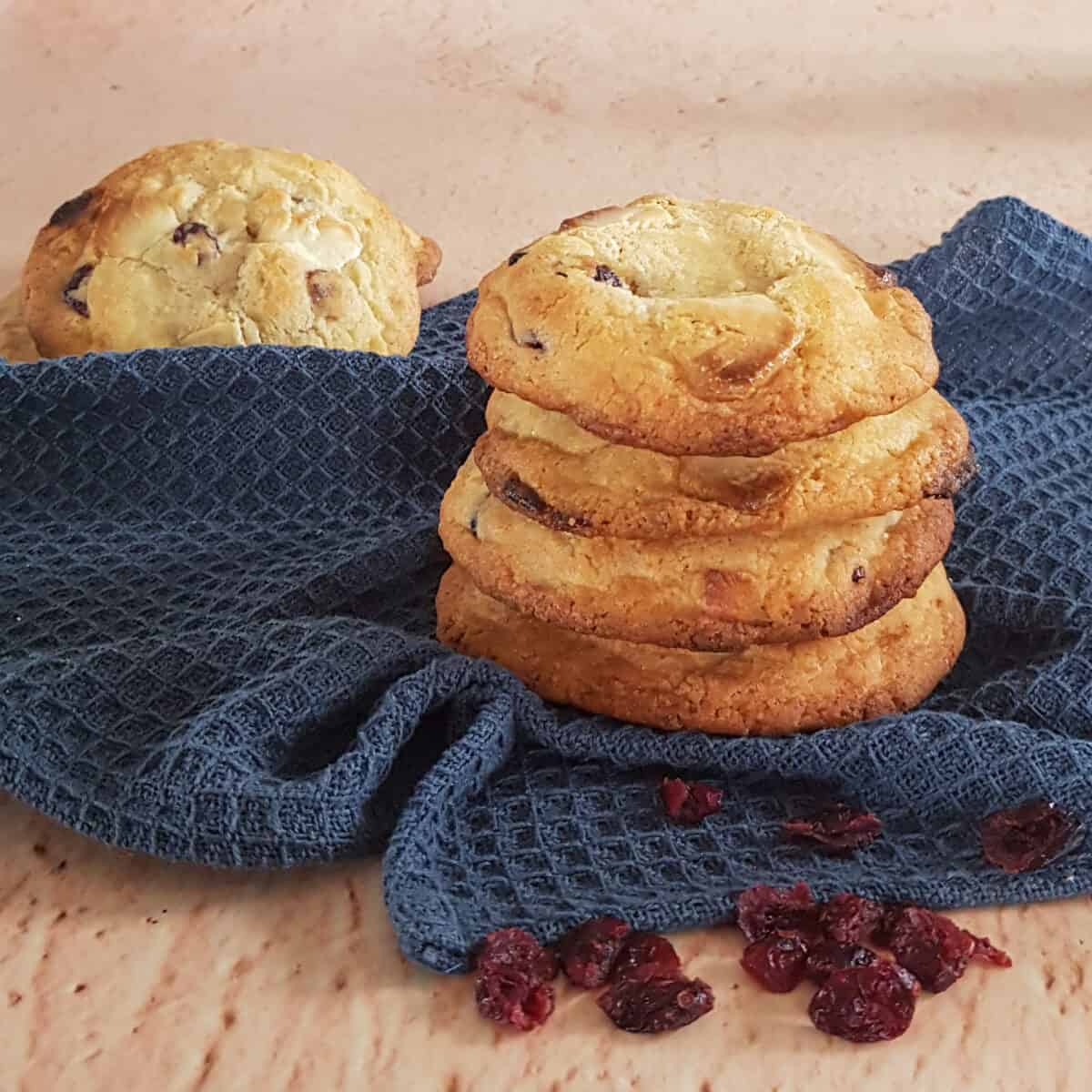 cranberry koekjes met witte chocolade