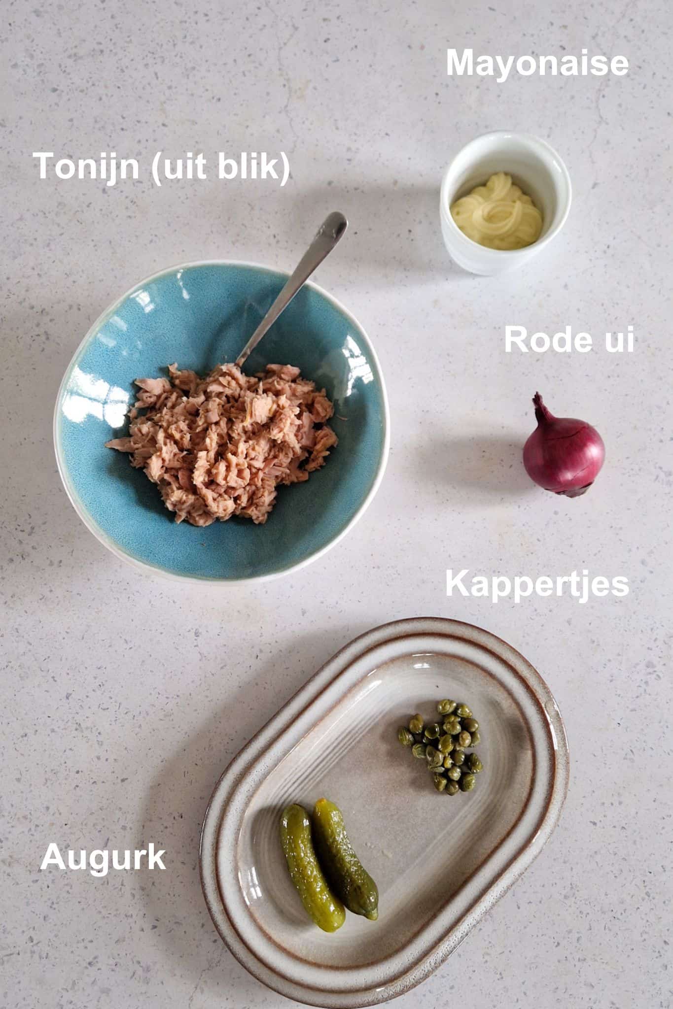 De ingrediënten voor het makkelijke tonijnsalade recept: tonijn, mayonaise, rode ui, kappertjes en augurk.