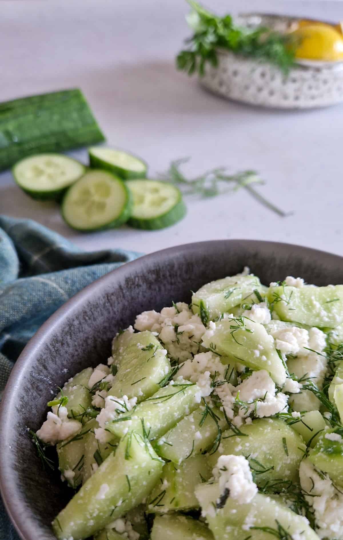 Close up van een schaal komkommer salade met op de achtergrond de ingrediënten: komkommer, dille en citroen.